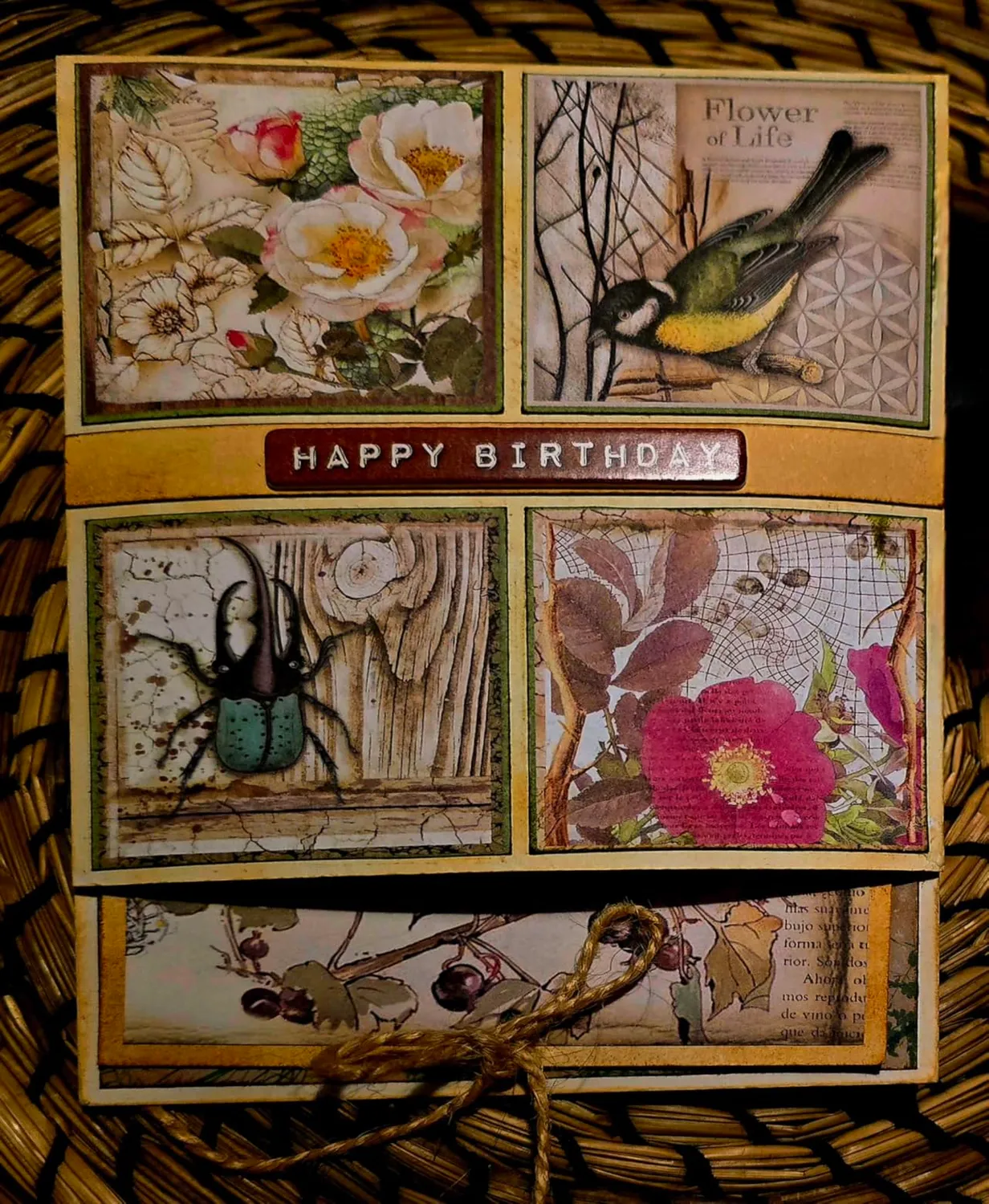 Stamperia Forest Scrapbookpapier 20,3x20,3cm 8x8“ beidseitig