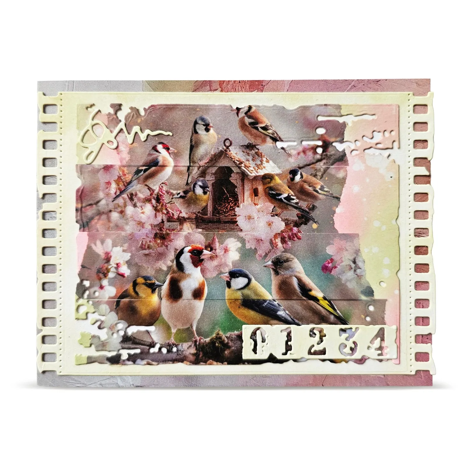 AALL and Create MT-154 Washi Tape 25mm Bird Feast Layer-It-Up