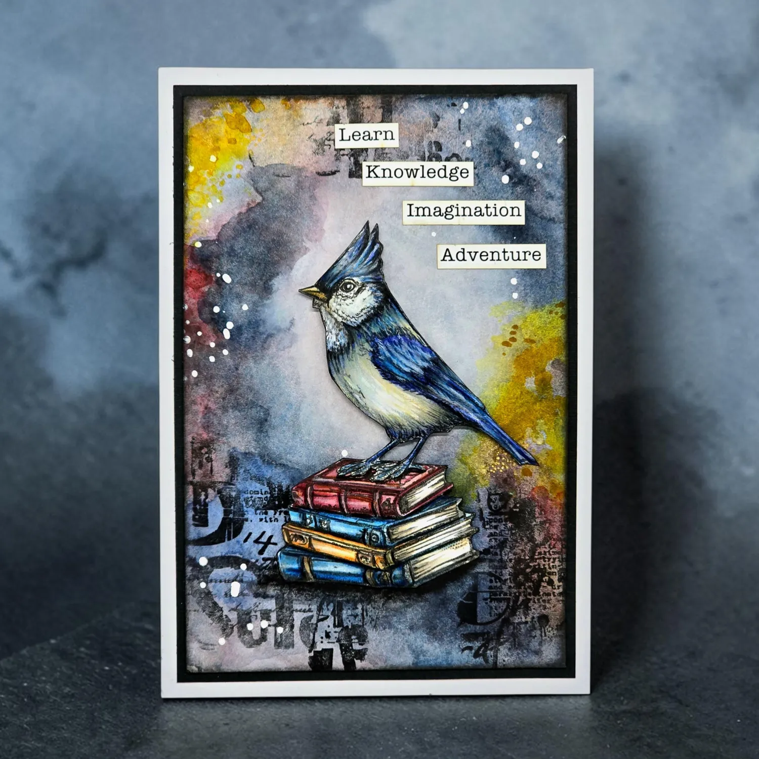 AALL and Create TP-1352 Cardinal Stare Stempel A7 Vogel