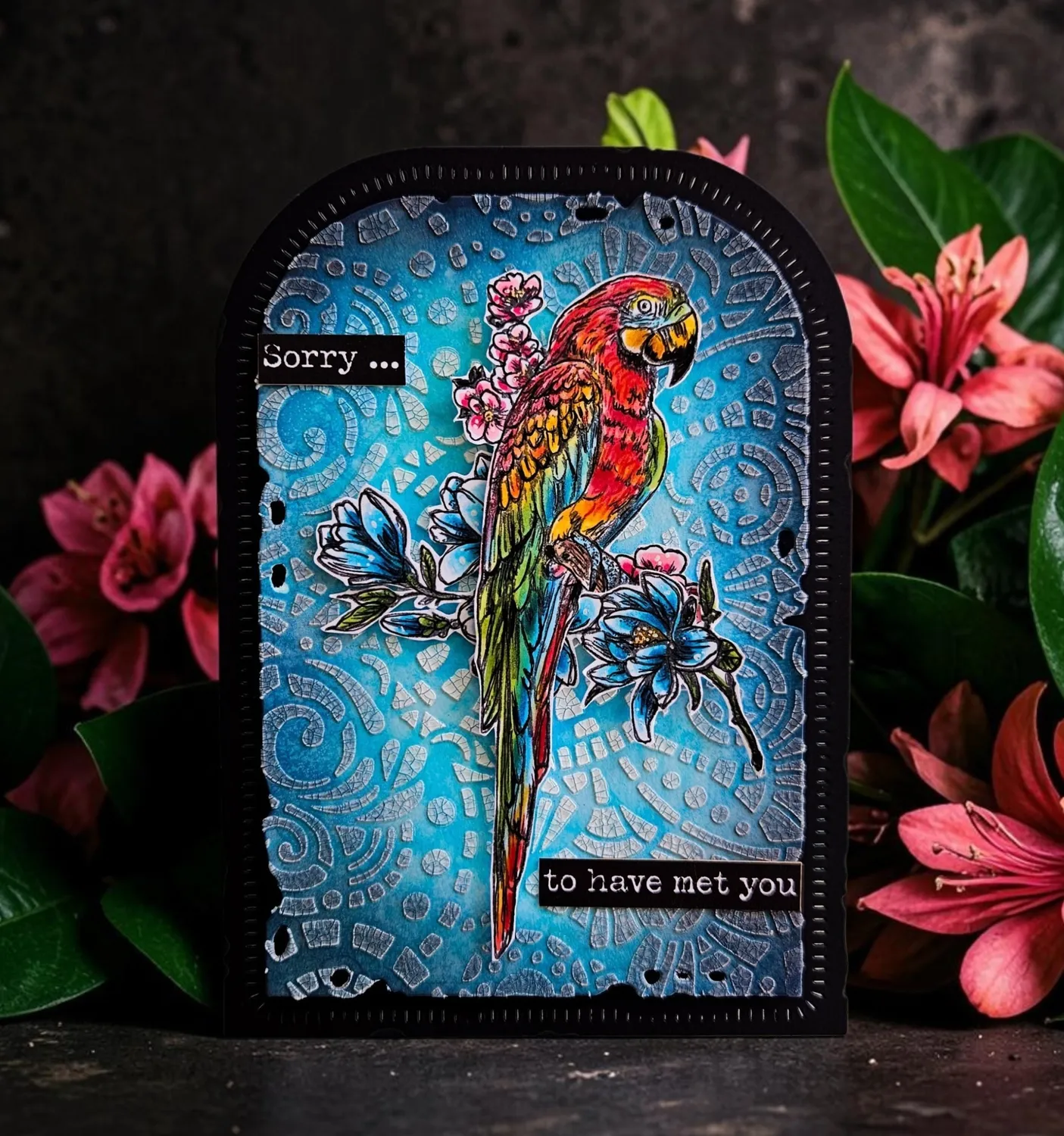 AALL and Create TP-1348 Parrot Song Stempelset A6 Photopolymer