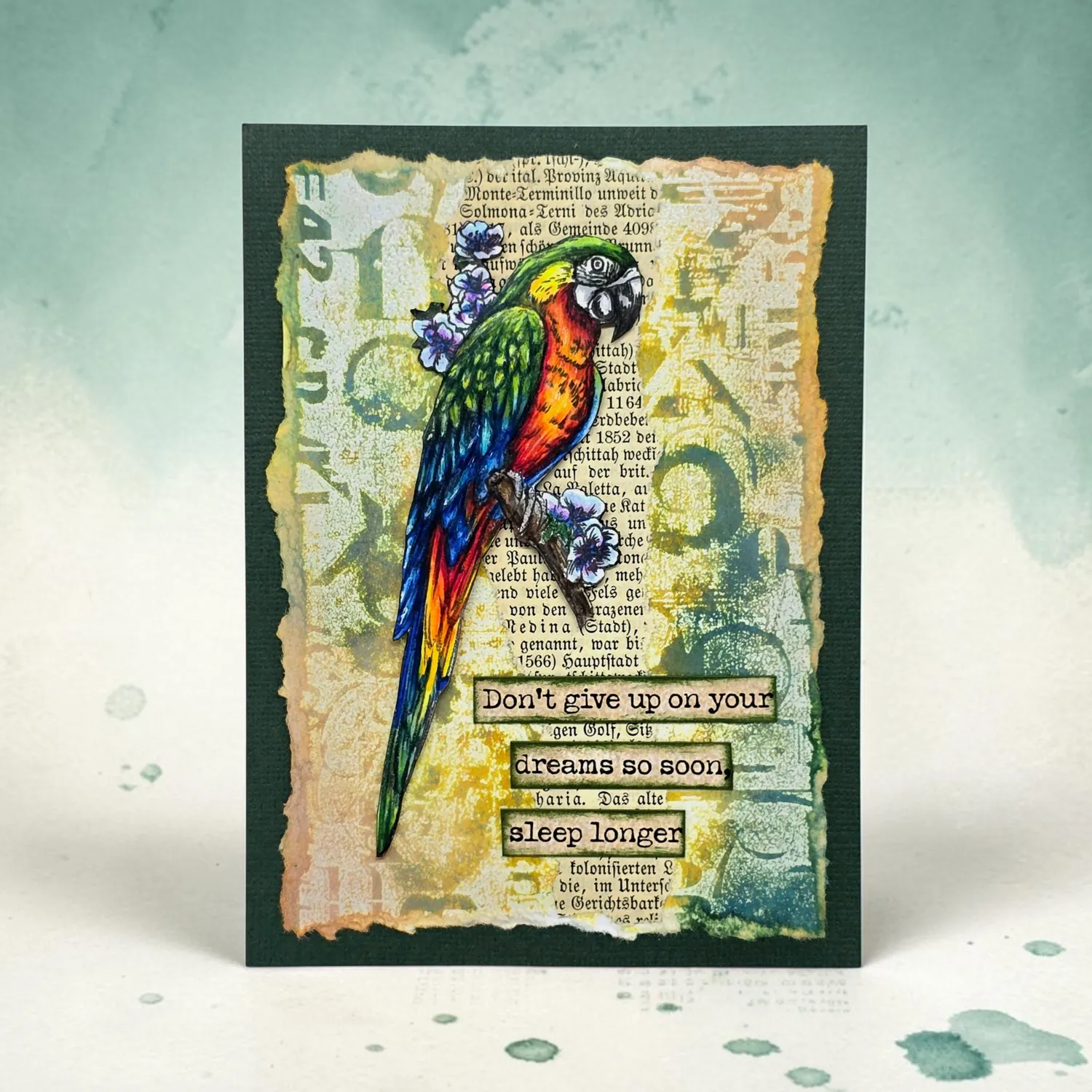 AALL and Create TP-1348 Parrot Song Stempelset A6 Photopolymer