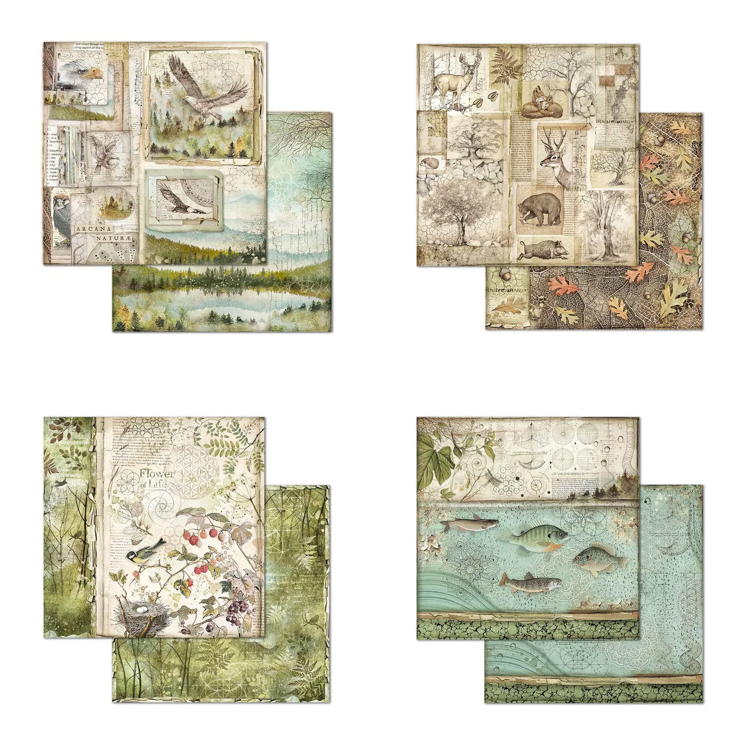 Stamperia Forest Scrapbookpapier 20,3x20,3cm 8x8“ beidseitig