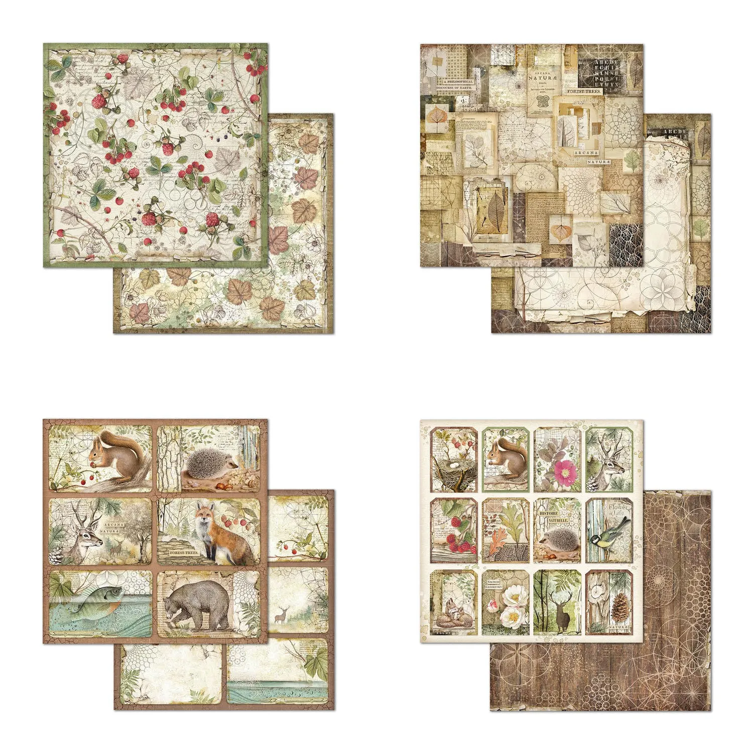 Stamperia Forest Scrapbookpapier 20,3x20,3cm 8x8“ beidseitig