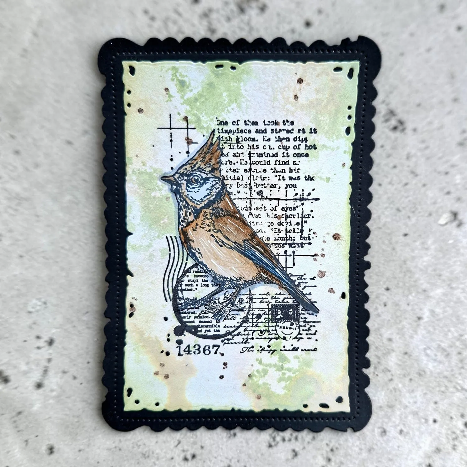 AALL and Create TP-1352 Cardinal Stare Stempel A7 Vogel
